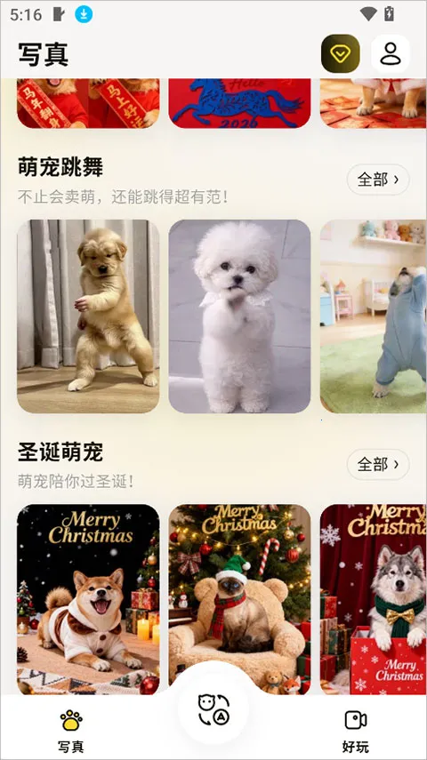 ����(�������蹤��)