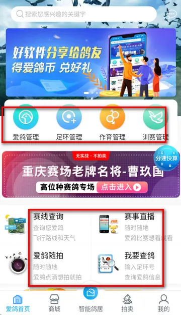 ������2026���°汾