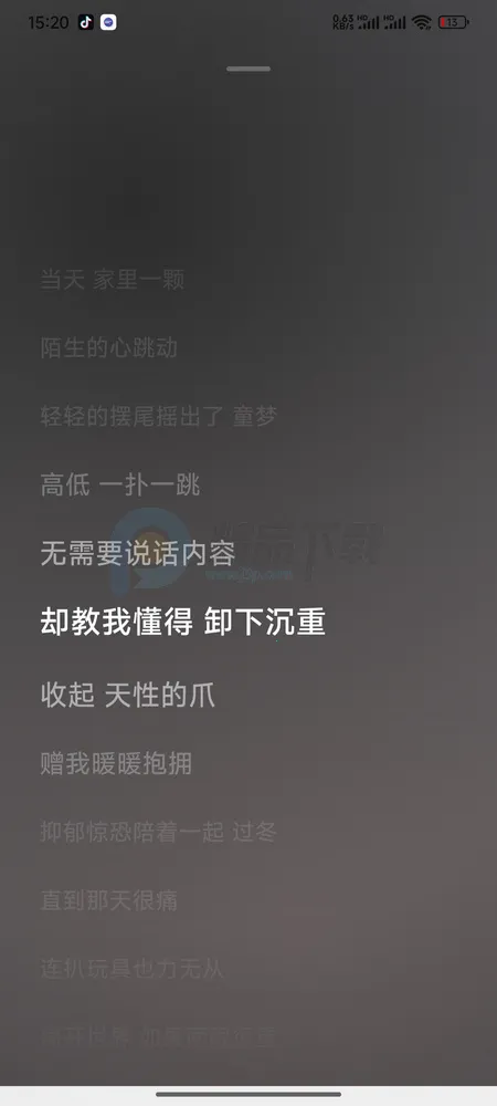 饼音音乐(本地音乐播放器) 饼音音乐(本地音乐播放器)