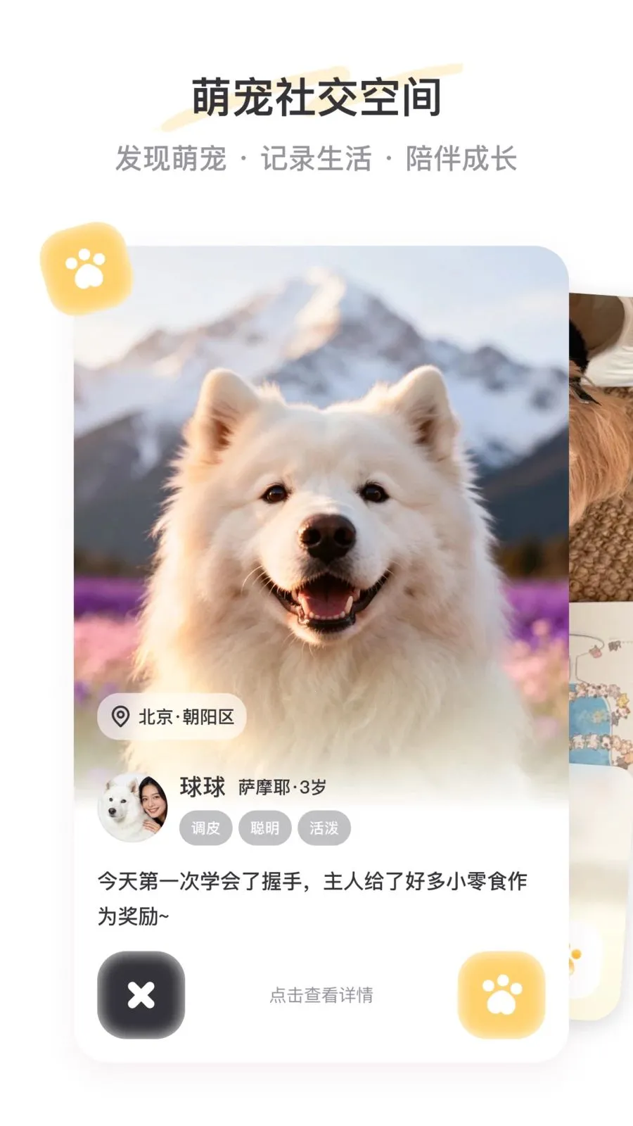 PetSpace2026���°汾v1.0 ��Ѱ��ͼ