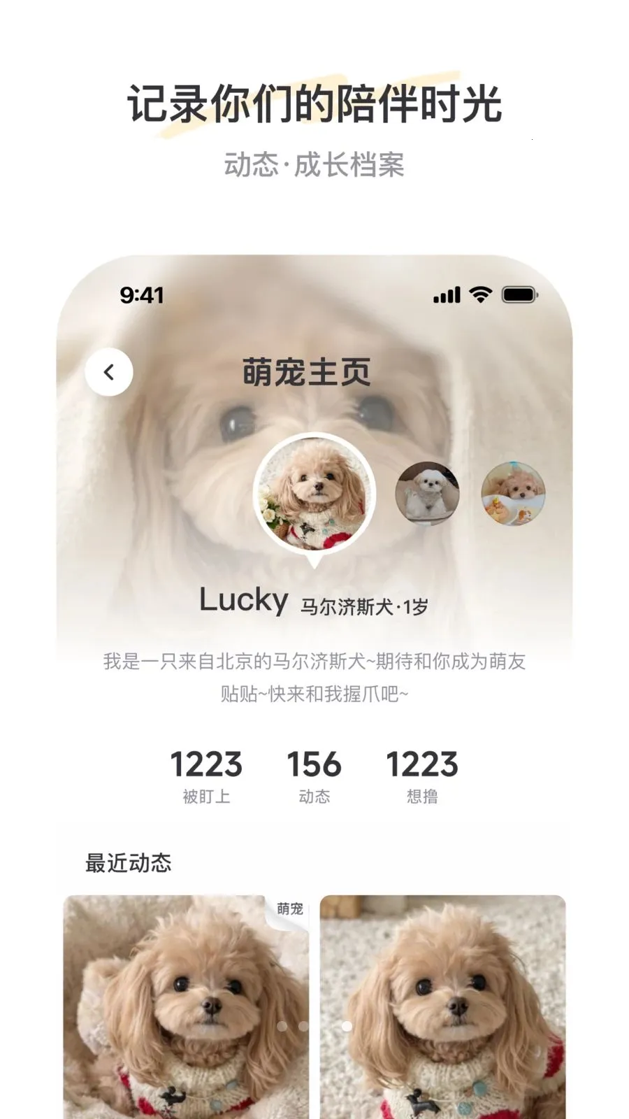 PetSpace2026���°汾v1.0 ��Ѱ��ͼ