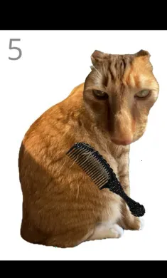 ��è��ë(è����ëС��Ϸ)v1.0 �ٷ������ͼ