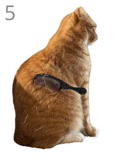 给猫梳毛(猫咪梳毛小游戏) 给猫梳毛(猫咪梳毛小游戏)