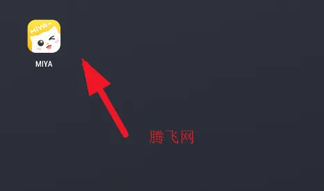 Miya(����������Ϸ)