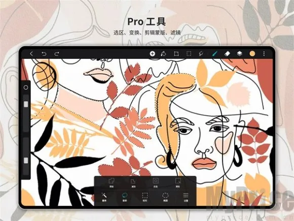 HiPaint(�滭��������)