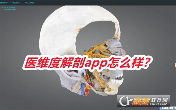 医维度解剖(人体解剖软件) 医维度解剖(人体解剖软件)