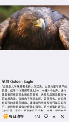 ÿ�ն���(�������APP)v1.0.0 ��׿���ͼ