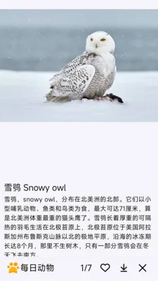 ÿ�ն���(�������APP)v1.0.0 ��׿���ͼ