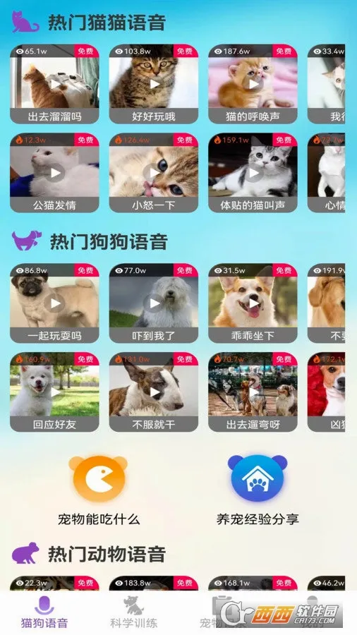 ��è������(����������������)v1.0.1 ��׿���ͼ