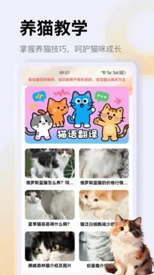 ����è��app2026���°汾v1.4 �ֻ����ͼ