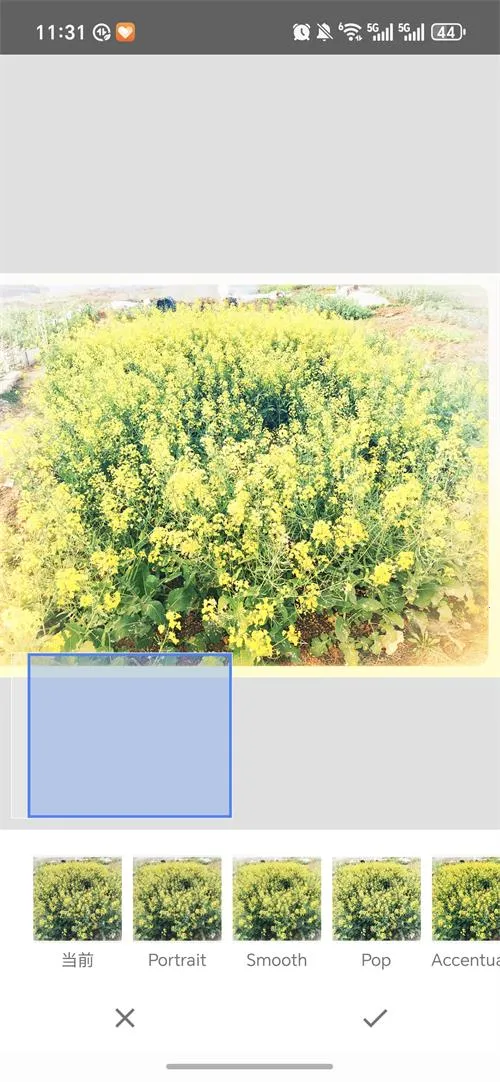 BetterSeed��׿���ֻ���v2.22.0.633363672 ��׿���ͼ