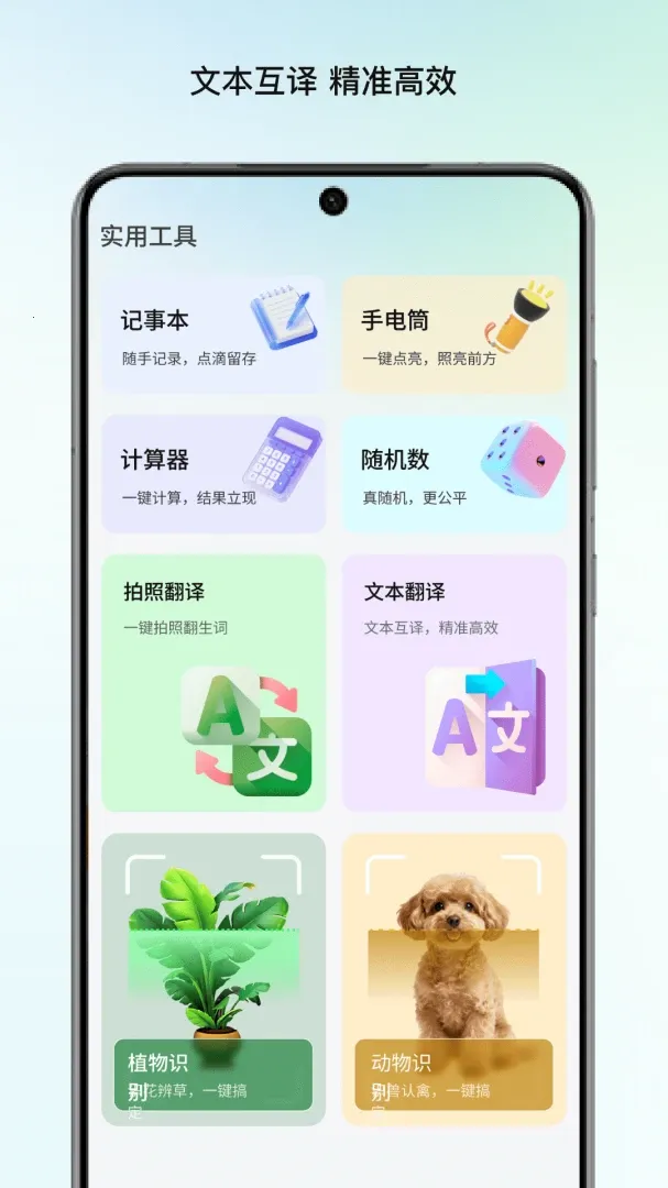 ����Ŵ�2026���°汾v1.1 ��Ѱ��ͼ