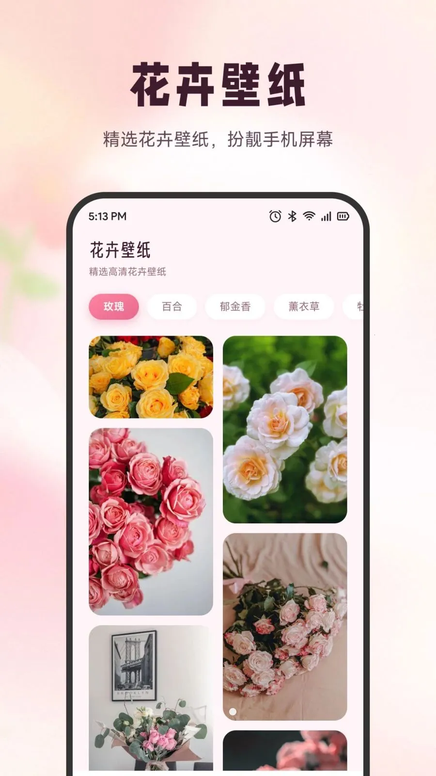 ѩ�ڻ���2026���°汾v1.6 ��׿���ͼ
