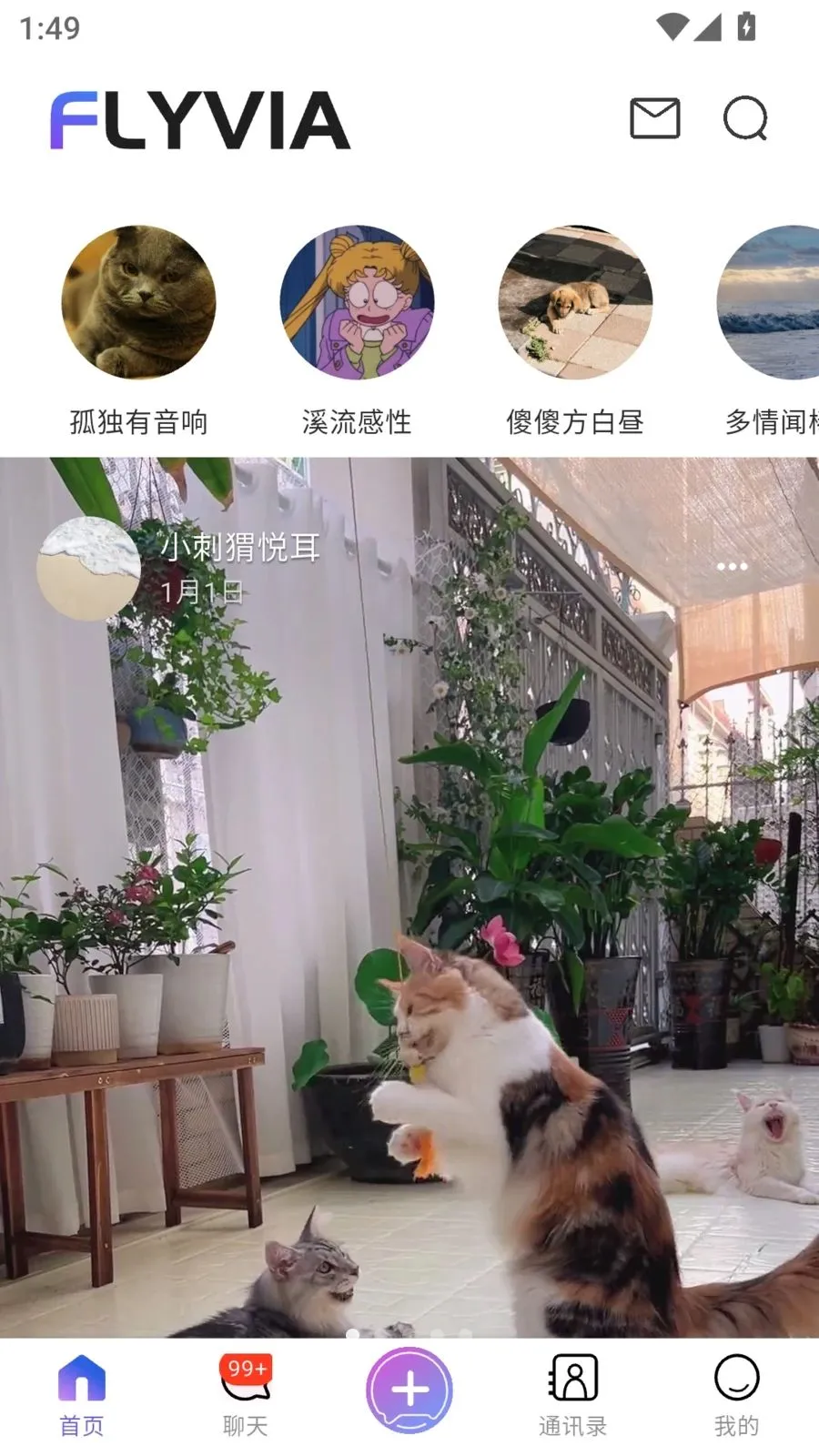 FLYVIA(ȫ�����罻APP)v2.1.2 �ٷ������ͼ