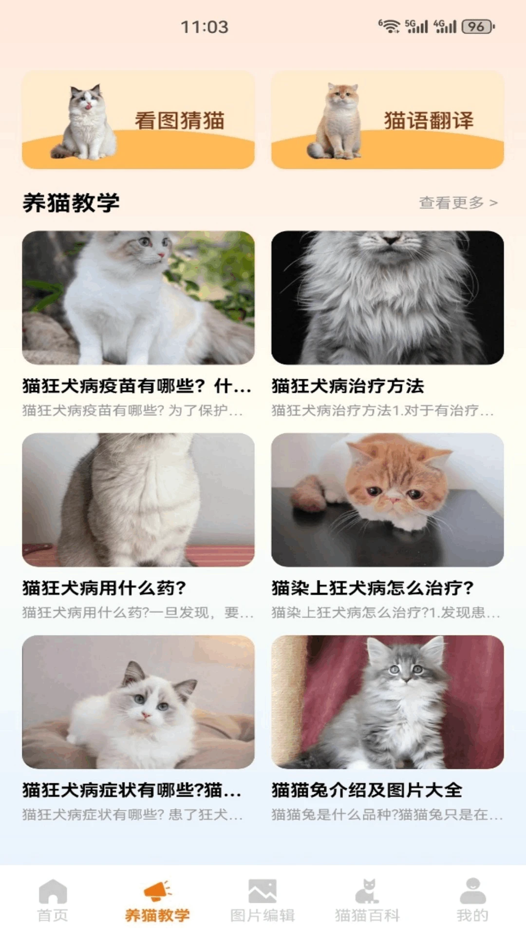 Сè����(��è�ۺ�Ӧ��)v5.2 �ֻ����ͼ
