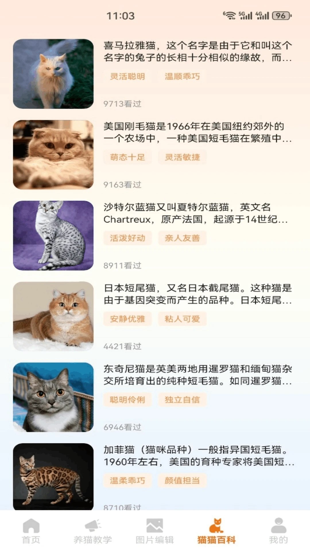 Сè����(��è�ۺ�Ӧ��)v5.2 �ֻ����ͼ