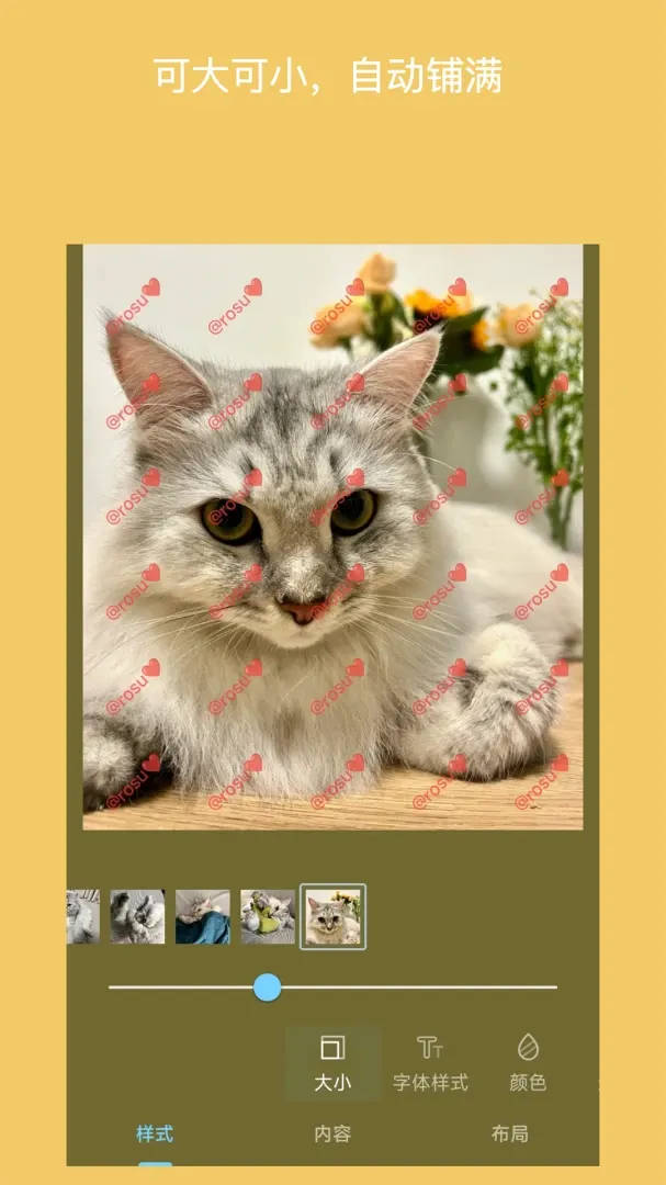 ��ˮӡ��Ƭ2026�ٷ����°汾
