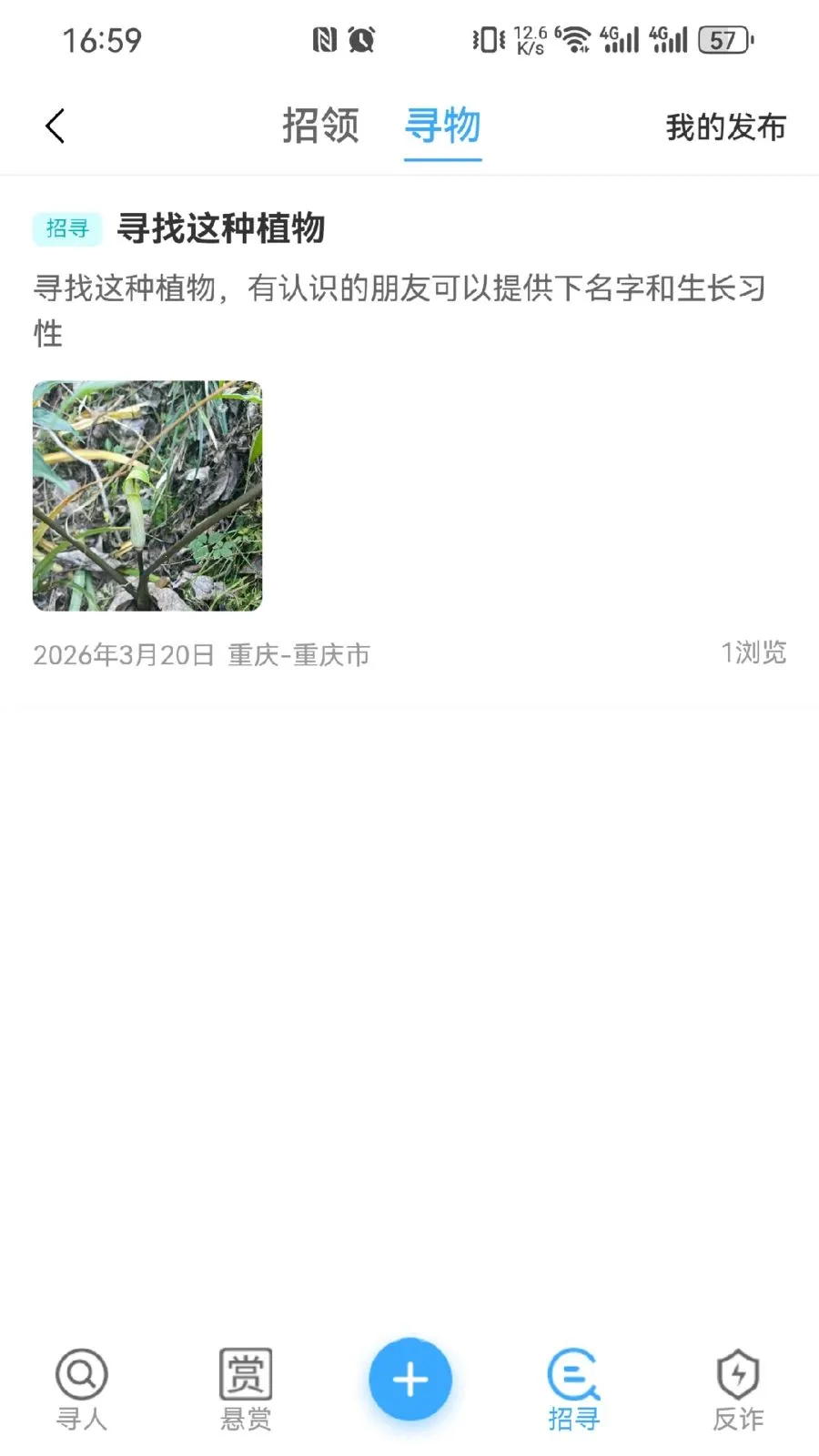 ����(ͬ�Ƿ���ƽ̨)v1.0.4 �ֻ����ͼ