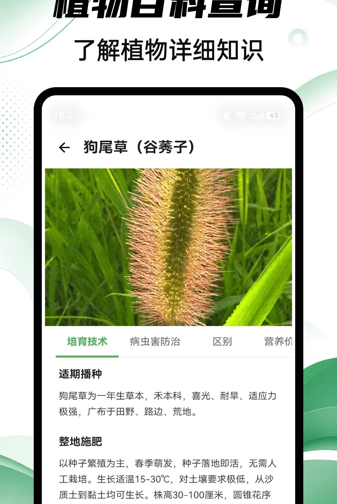 Aeluɭ��2026�ٷ����°汾v1.0.4 ��Ѱ��ͼ