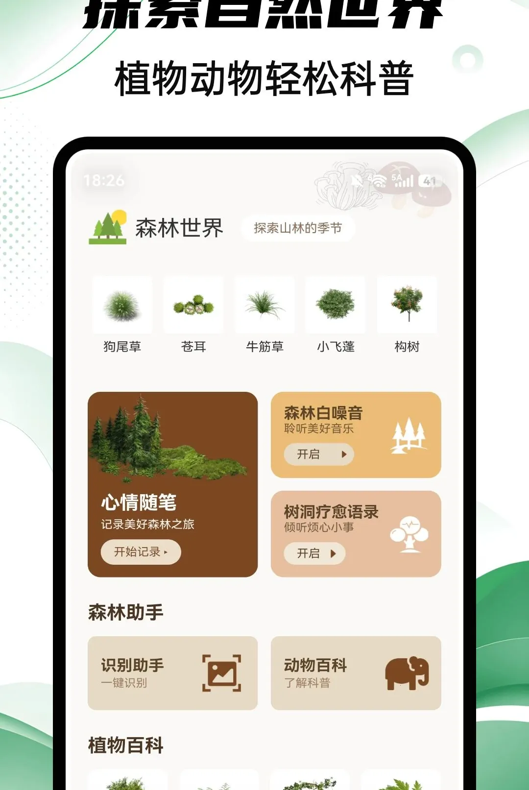 Aeluɭ��2026�ٷ����°汾v1.0.4 ��Ѱ��ͼ
