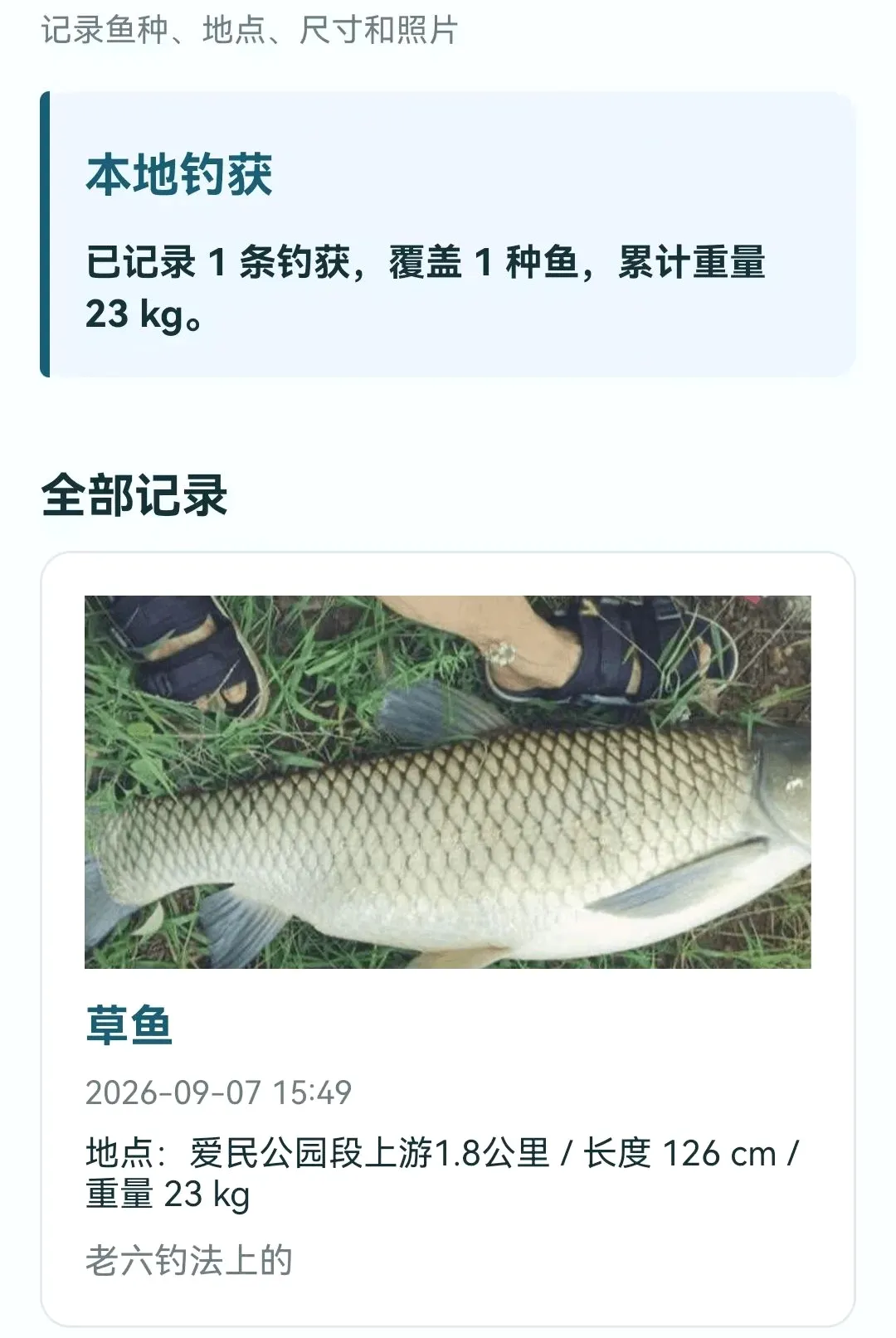 ���������鱨ָ��2026���°汾v1.0.0.4 �ٷ������ͼ