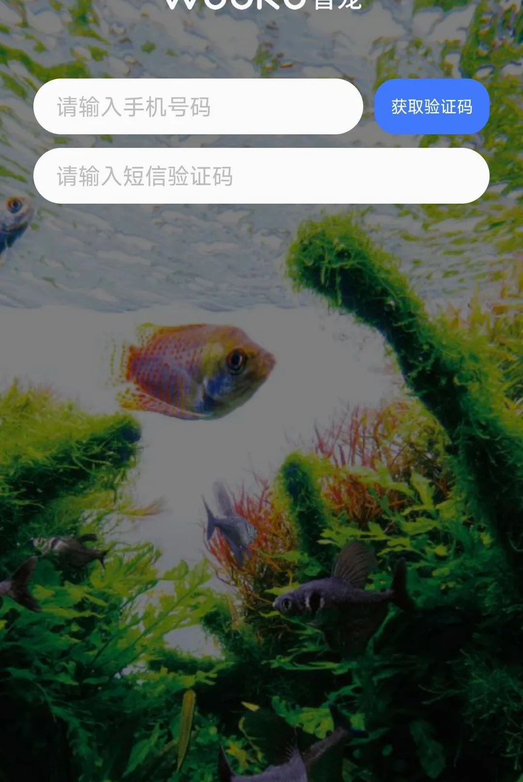 WOOKU�ǳ谲׿���ֻ���v1.0.29 ��׿���ͼ